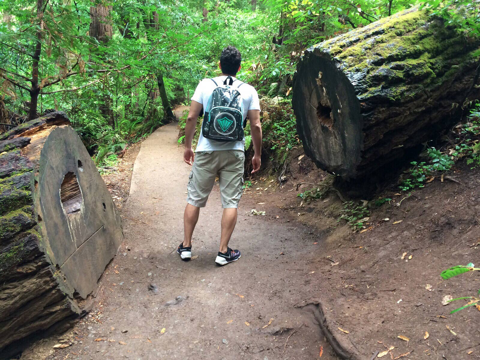 Muir Woods, San-Francisco, 1 Vandalovers